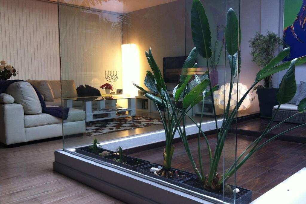 Casa Exclusiva Al Lado De La Playa Villa San Andrés Eksteriør bilde